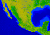 Mexiko Vegetation 2000x1416